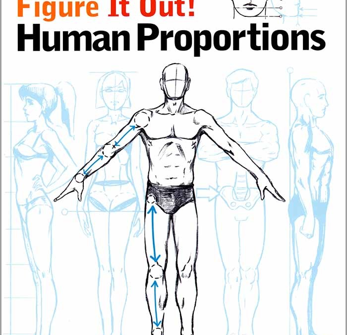 Human Proportions