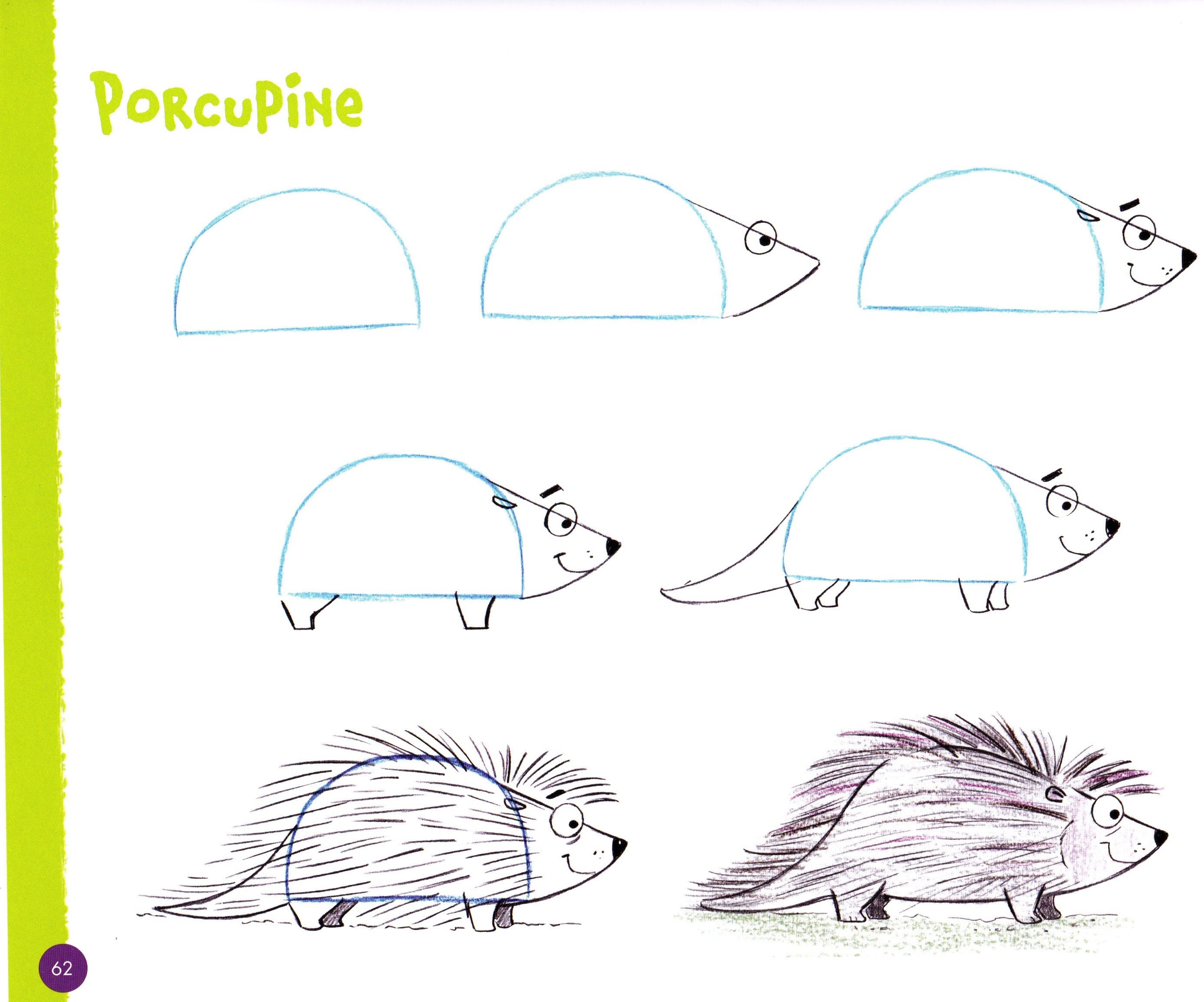 How to Draw Animals from Simple Shapes with Barbara & Artey